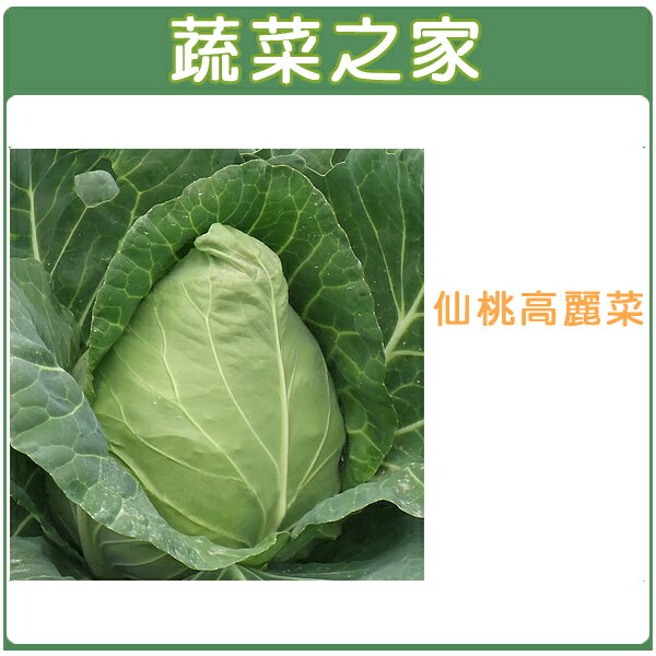 【蔬菜之家】B09.仙桃高麗菜種子(共有2種包裝可選)
