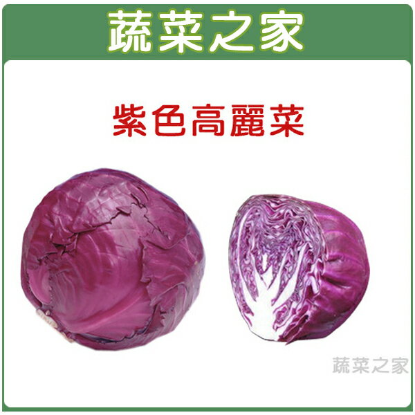 【蔬菜之家】B19.紫色高麗菜種子(共有2種包裝可選)