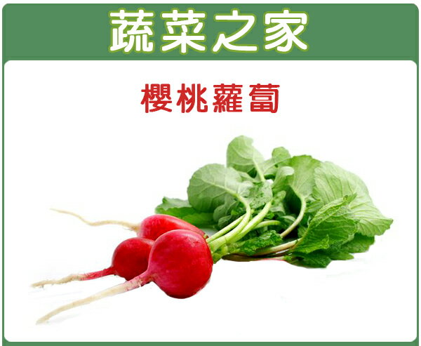【蔬菜之家】C05.櫻桃蘿蔔種子200顆