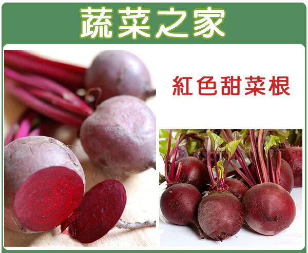 【蔬菜之家】C09.紅色甜菜根種子100顆