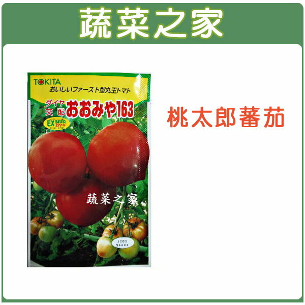 【蔬菜之家】G22.桃太郎番茄種子5顆