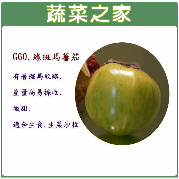 【蔬菜之家】G60.綠斑馬蕃茄15顆