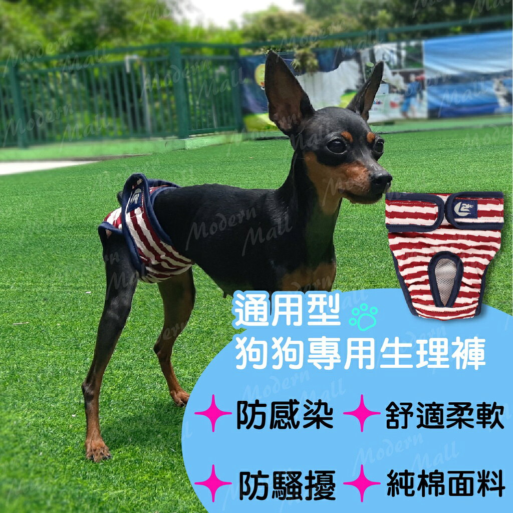 狗狗生理褲【Ｎｅｗ舒適新款💎免運現貨】寵物生理褲 狗生理褲 狗內褲 寵物內褲 不外漏 可更換 防感染 2