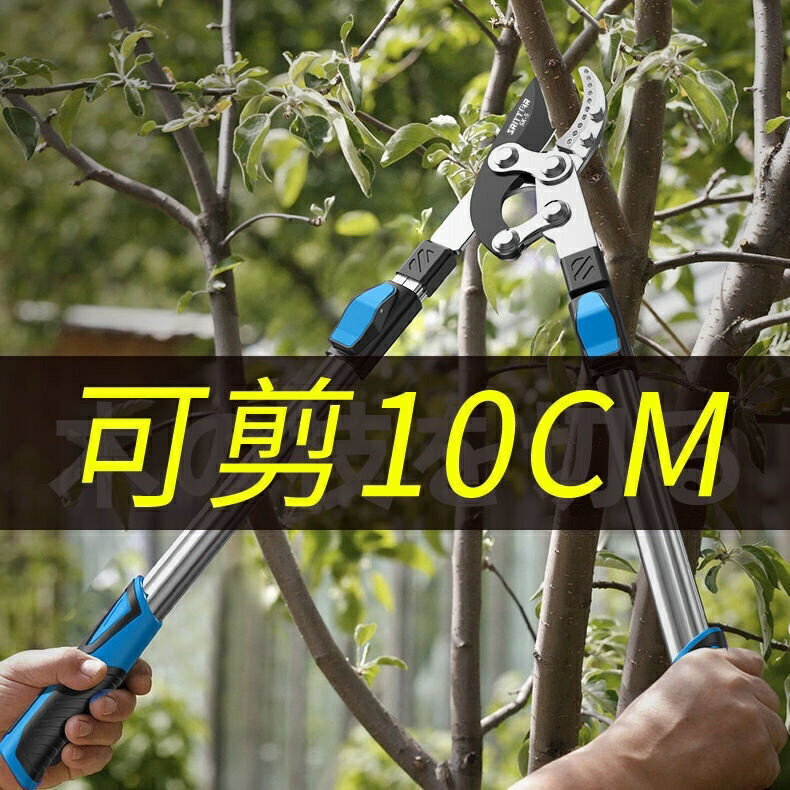 果樹修樹枝剪刀粗枝剪樹枝專用剪子修枝剪伸縮強力園藝園林大剪刀
