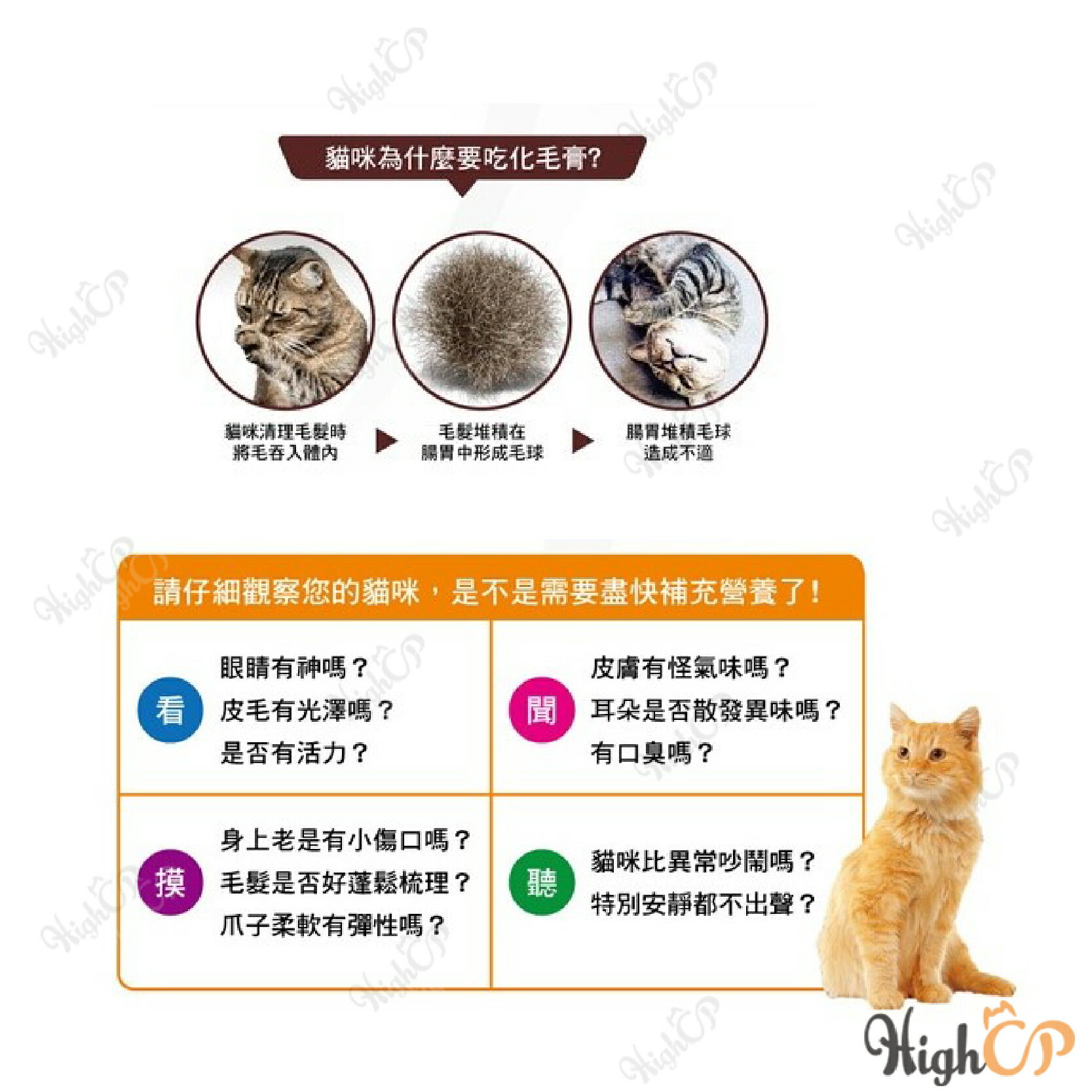 竣寶營養膏 GIMBORN 德國 竣寶化毛膏 營養化毛膏 維他命膏 高鈣營養膏 雙效化毛膏 喵咪【230505】 2