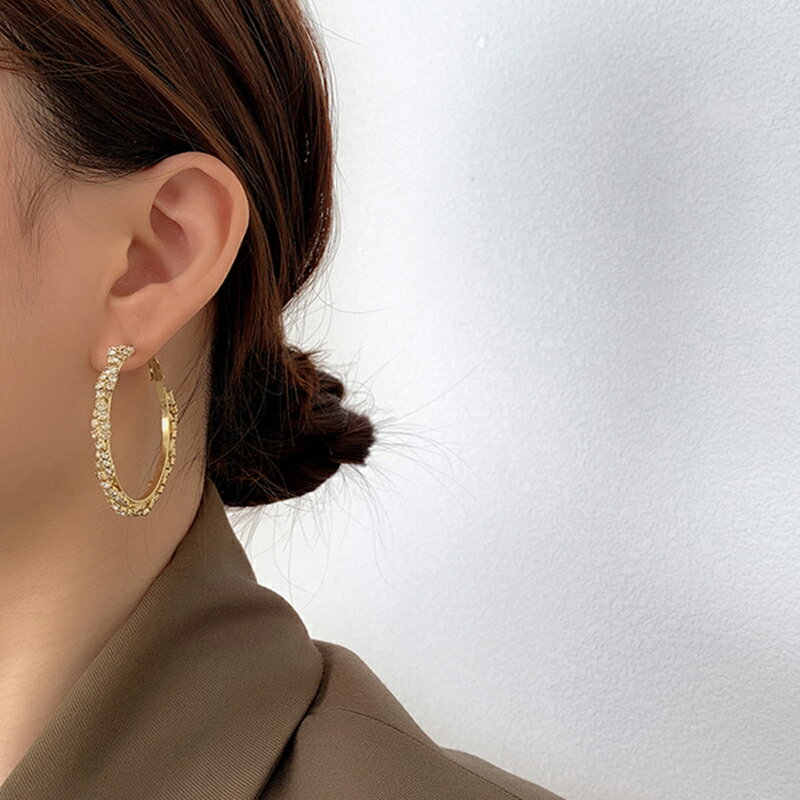 大圓圈歐美風耳環2021年新款潮女耳釘簡約ins冷淡風耳飾925純銀針