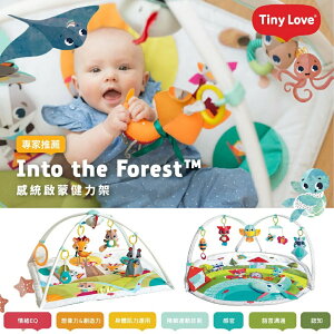 美國 Tiny Love 感統啟蒙健力架 嬰兒玩具 遊戲地墊 送禮（兩款可選）