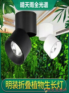 植物補光燈 植物射燈 家用全光譜LED仿太陽光照嵌入式室內光合作用補光生長燈 快速出貨