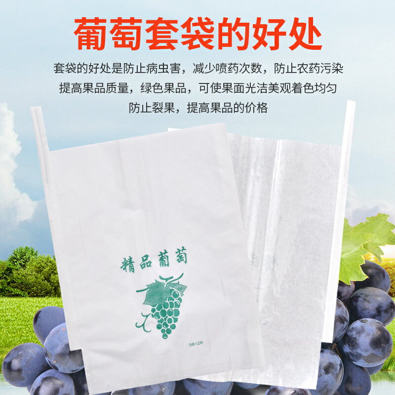 防蟲保護袋 葡萄套袋專用袋半透明袋子蓮霧保護防蟲雨防鳥包果袋紙袋透氣水果【MJ15793】