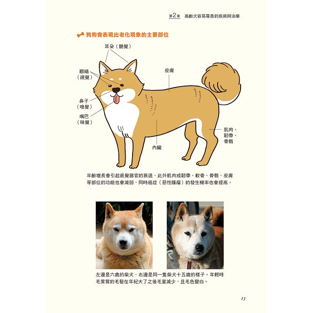 7vkjaczbgu9ovm