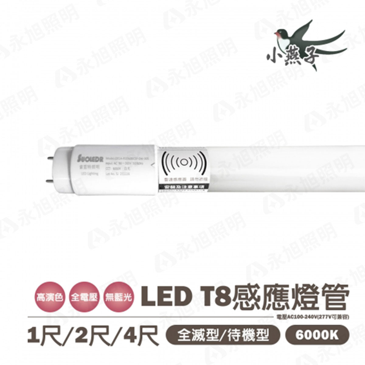 【小燕子】 T8 LED 感應 燈管 1尺 2尺 4尺 玻璃感應燈管 白光 全亮全滅/全亮微亮 感應範圍4公尺