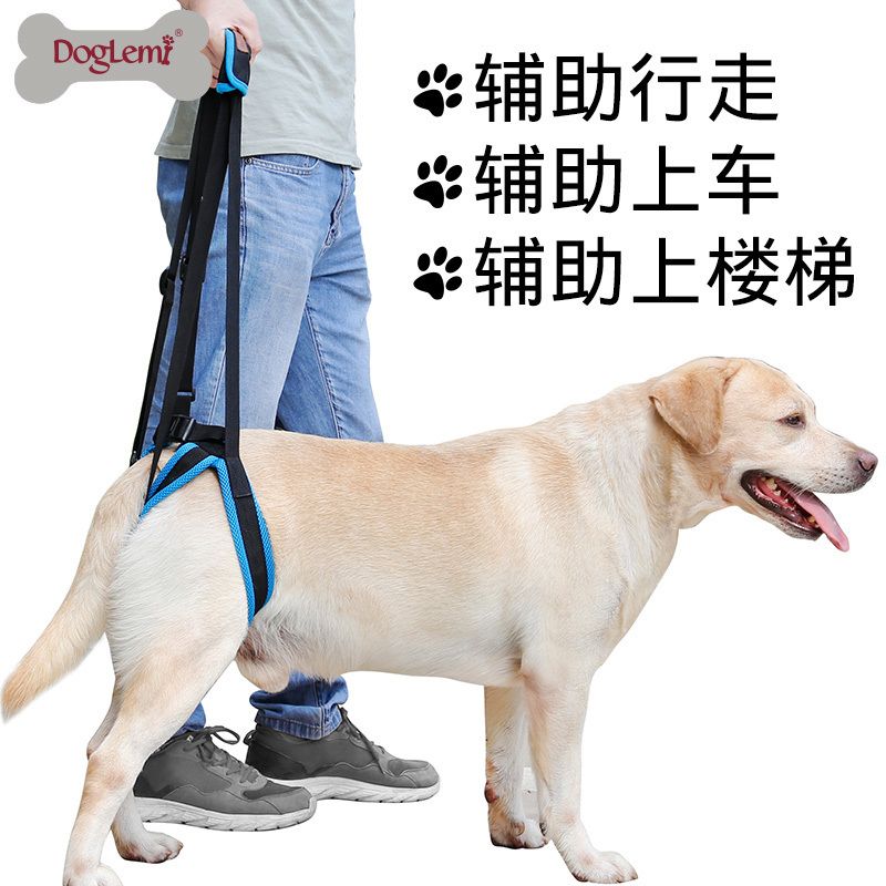 免運 附發票 寵物腿部走路支架護帶 後腿殘疾高老齡 狗狗樓梯輔助帶背帶