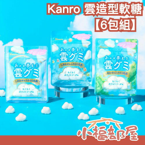 【6入組】日本 Kanro 雲造型軟糖 46g 雪造型軟糖 雪 雲グミ 蘇打汽水 雲朵軟糖 新食感 柔軟 熱銷