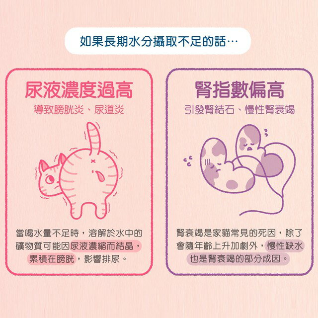 貓侍Catpool 馬卡龍系列 貓咪水分補給副食罐 85g 4