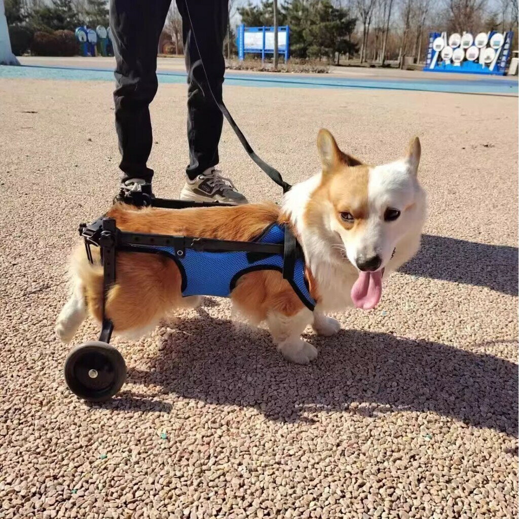 狗輪椅後肢寵物代步車殘疾狗狗後腿輔助貓泰迪大型小型犬支架