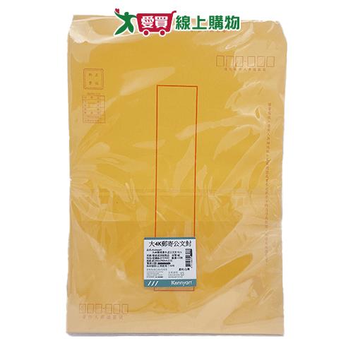Kennyart 大4K郵寄牛公文封10入 牛皮紙袋 信封袋【愛買】