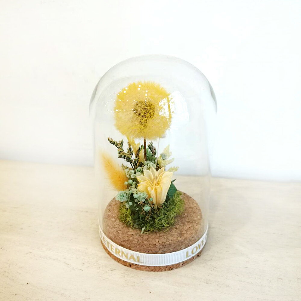 萩蒔花花藝x覓品竹北手作店-乾燥花x永生花創作橢圓玻璃花盅-幸福蒲公英-共2色 4