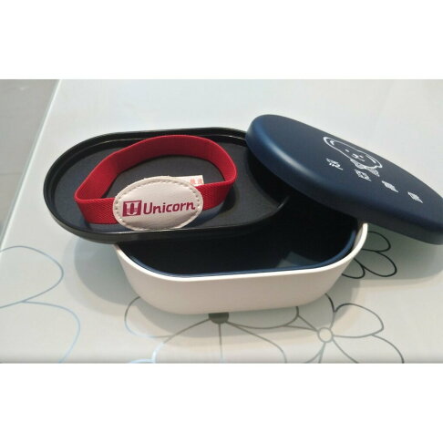 雙層便當盒 全新 便宜售 櫻桃嚴選 1