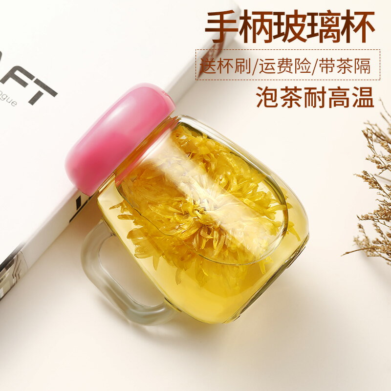 帶把玻璃杯女泡花茶茶杯玻璃水杯茶杯個人專用杯子ins風隨手茶杯