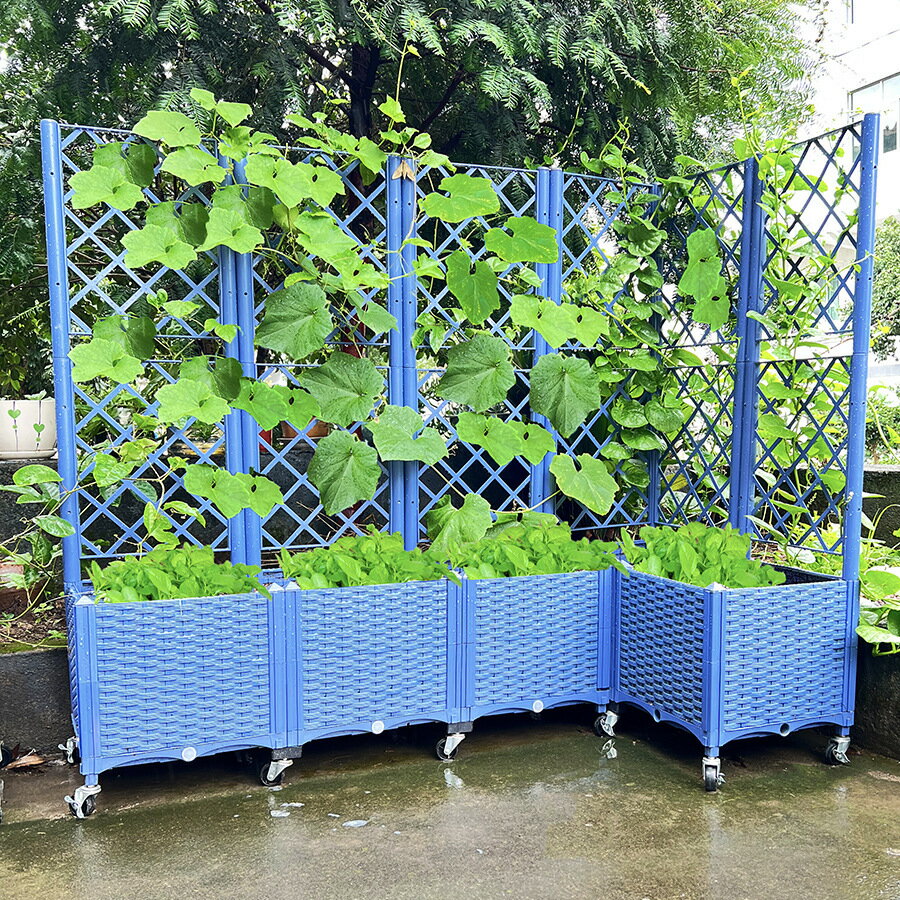 臺灣公司貨 免運 可開票 室內種植箱爬藤支架蔬菜花盆花箱柵欄花槽屋頂陽臺方形大號種菜箱