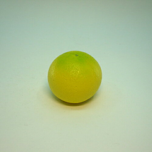 《食物模型》葡萄柚 水果模型 - B1041