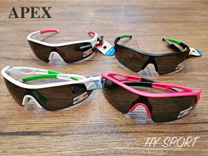 【H.Y SPORT】《APEX》型號309-專業運動型太陽眼鏡 偏光運動太陽眼鏡/防眩光墨鏡/抗UV/過濾紫外線及強光/寶麗來偏光鏡片