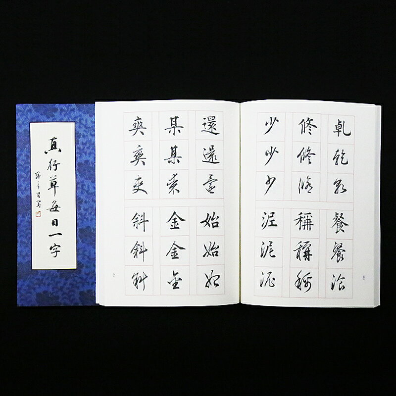 田蘊章每日一字字帖 真行草每日一字 楷書毛筆書法教程 書法毛筆字帖 田楷千字文楷書行書草書入門 文房四寶 2