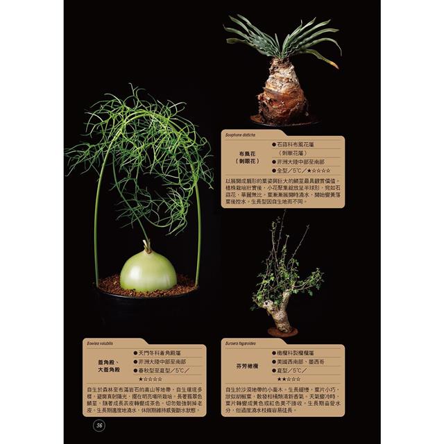 全年度塊根植物栽培基礎書 4