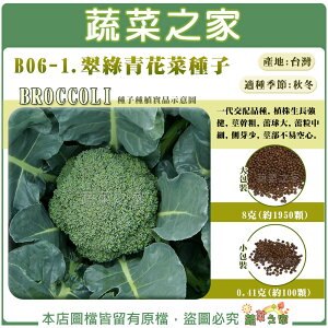 【蔬菜之家】B06-1.翠綠青花菜種子 (共2種包裝可選)