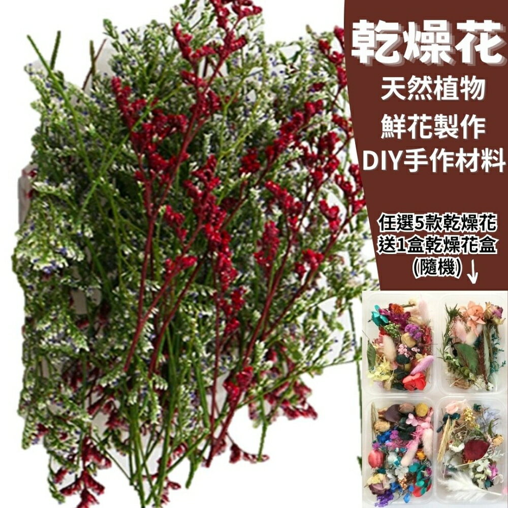 【A-ONE】天然乾燥花盒 永生情人草 3色混搭 乾燥花材 永生花水晶草 兔尾草 寶石草 苦麻 快樂草 情人草 A20