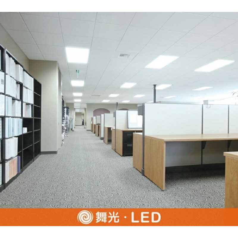 舞光 LED 4尺*2尺 / 4尺*1尺 雙節標柔光 平板燈 輕鋼架燈 D-41PD25D-EGR1 D-42PD45D-EGR1 (A Light) 4