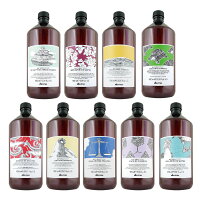 Davines 達芬尼斯 自然生機 深層淨化/純淨抗屑/康敏舒緩/甦活益生/平衡控油/能量豐茂/滋養奇蹟/樂活紫菊洗髮露1000ml(無附贈壓頭) 【貝羅卡】 Davines 達芬尼斯 自然生機 深層淨化/純淨抗屑/康敏舒緩/甦活益生/平衡控油/能量豐茂/滋養奇蹟/樂活紫菊洗髮露1000ml(無附贈壓頭) 【貝羅卡】
