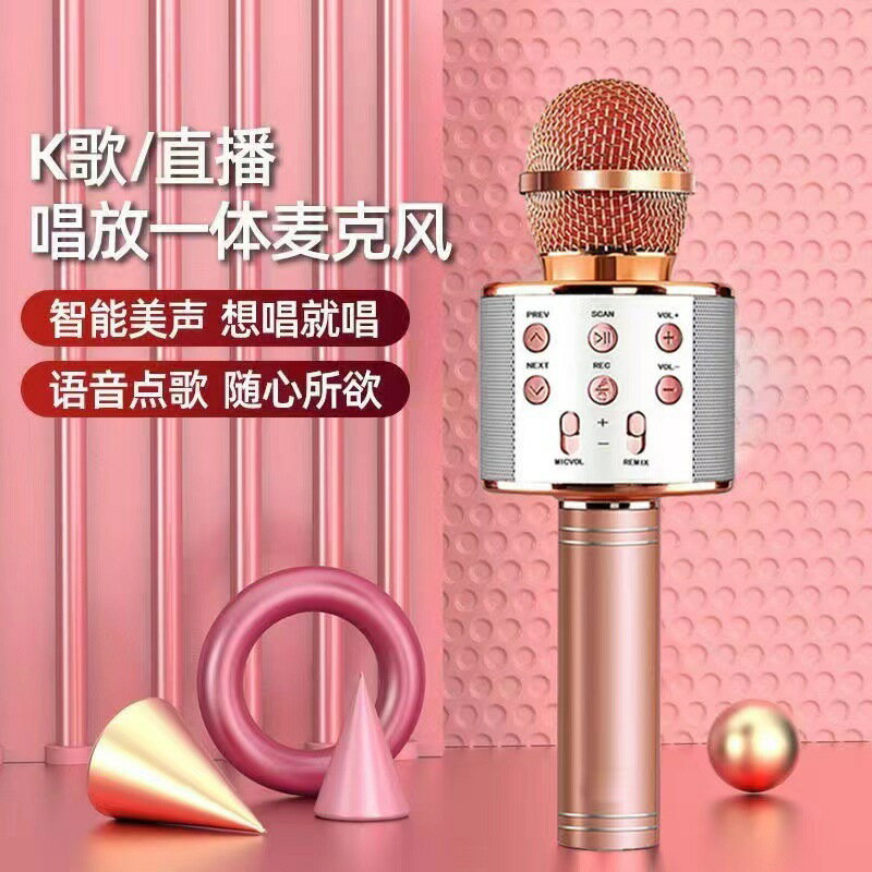 麥克風k歌話筒音響一體無線電視兒童唱歌全民家用ktv變聲家庭【Snowbelle優選】