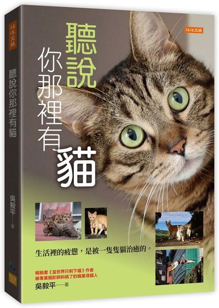 聽說你那裡有貓：生活裡的疲憊，是被一隻隻貓治癒的。【城邦讀書花園】
