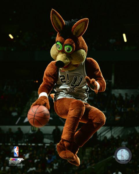 Posterazzi: San Antonio Spurs Mascot The Coyote Photo Print (20 X 24 