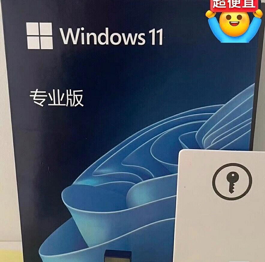 微軟正版 Win10 Win11 專業版 家庭版 繁體中文 英文 彩盒 U盤 一機一碼 無限重灌 永【微軟批發零售】