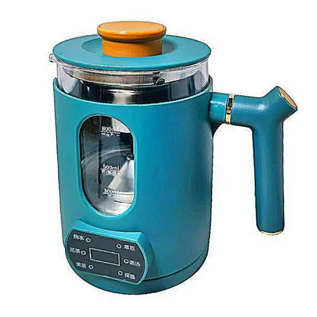 跨境220V110V伏小型煮茶器 0.8L升迷你養生壺 歐美規蒸汽煮茶壺