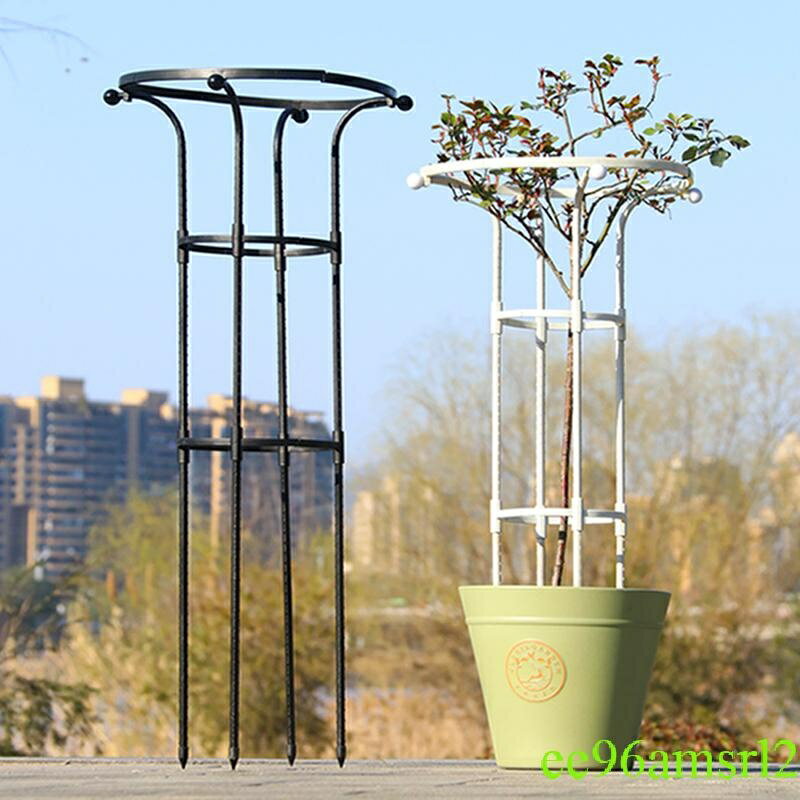 園藝單圈傘形玫瑰爬藤架 月季鐵線蓮攀藤蘑菇薔薇花架 綠植支架戶外
