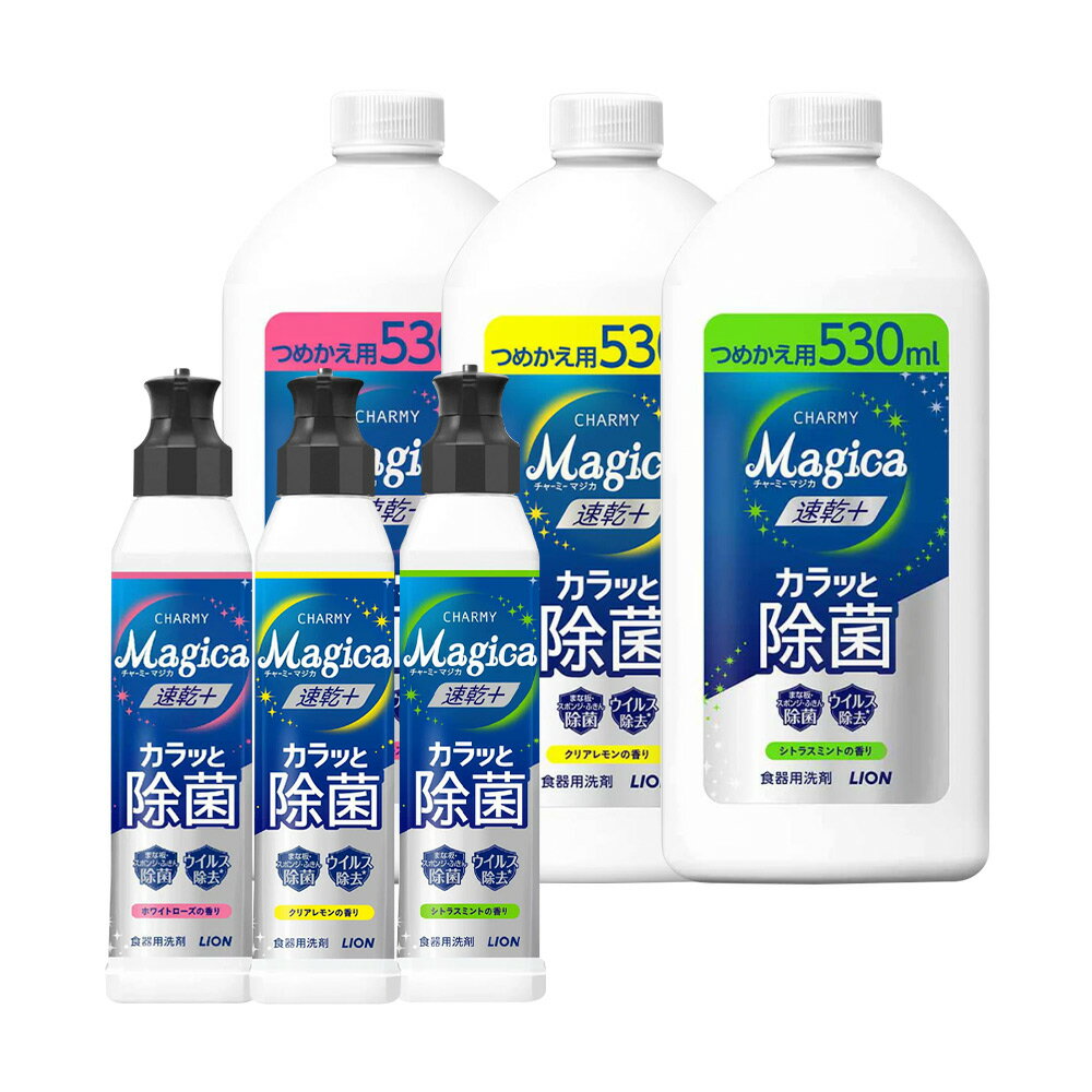 日本LION 小資4入組 速乾+ 抗菌系列洗碗精 (220ml x1＋530ml x3)