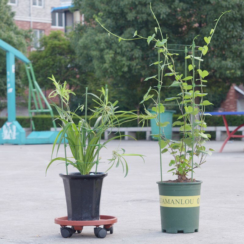 浩銘家用綠植鐵藝花盆支架子月季花架爬藤架室內客廳護葉架庭院攀