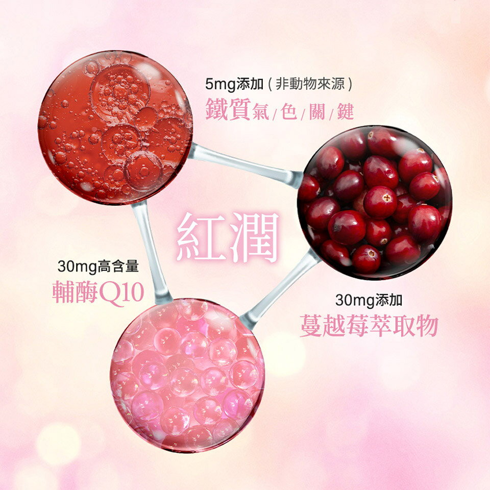 【香港配送】Veggie Care 妳的植感美姬粉 100%純素X12種美容精華 3