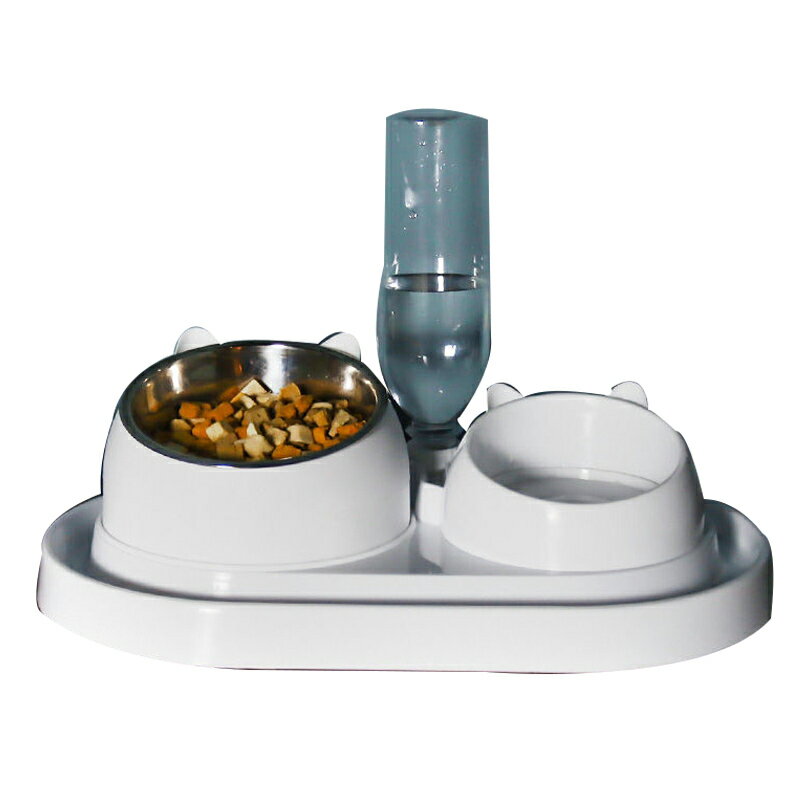 [現貨]寵物碗 寵物餐桌 狗狗碗 狗用品 寵物餵食器 狗碗 貓盆 貓碗 貓咪碗 飼料碗 寵物傾斜餐碗餵食器組 0