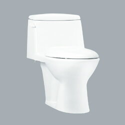 HCG單體馬桶/19cm /C4289PAdbT