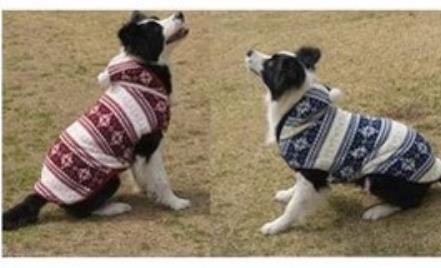 大型犬衣服/秋冬款超大狗狗衣服寵物秋冬服裝-7901001-微瑕疵