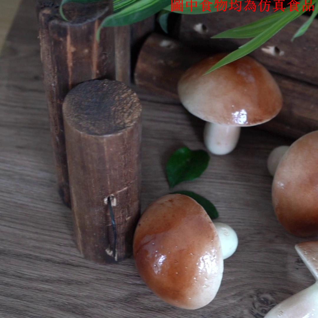 仿真香菇假蘑菇水果蔬菜模型櫥柜裝飾攝影影視早教道具擺件掛件