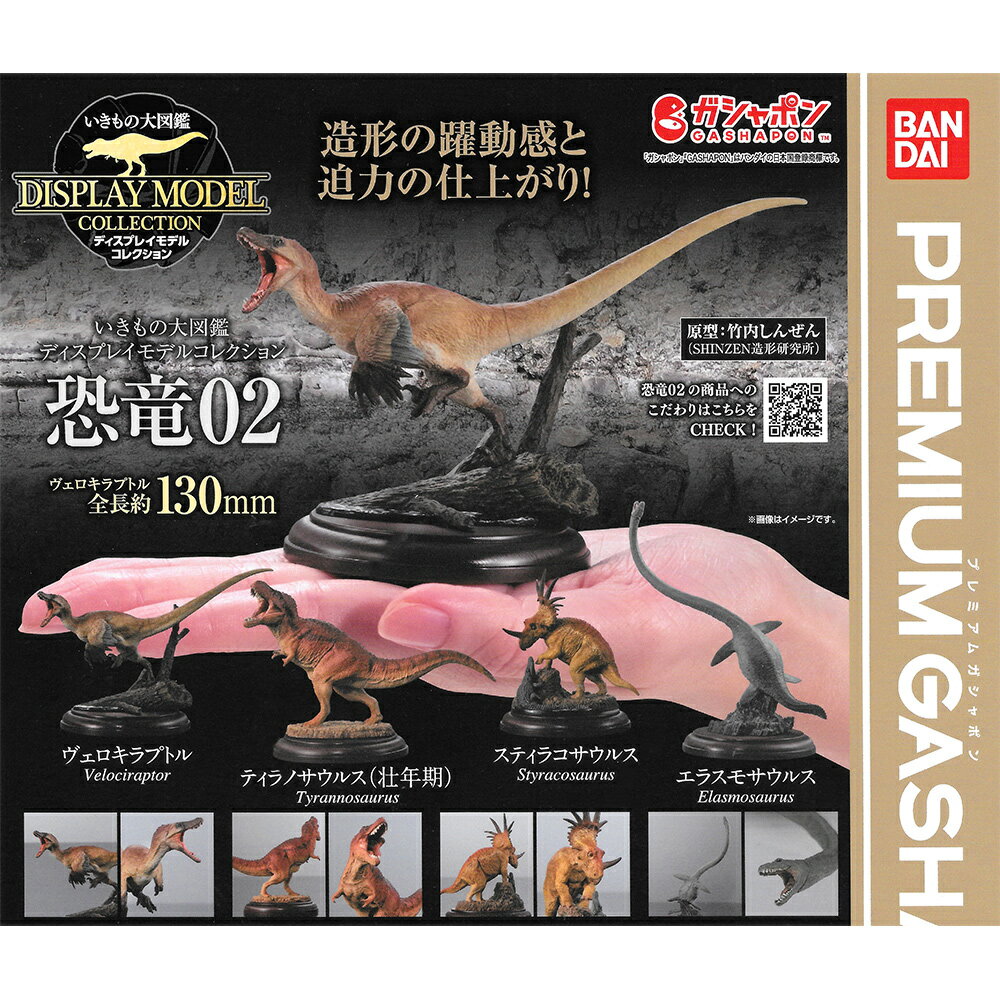 【日本正版】全套4款 生物大圖鑑 展示模型 恐龍 P2 扭蛋 轉蛋 迅猛龍 暴龍 刺盾角龍 薄板龍 恐龍模型 動物模型 BANDAI 萬代 - 681196