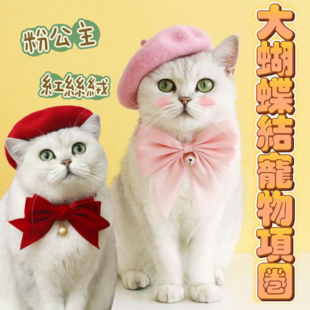 『台灣x現貨秒出』粉/紅公主大蝴蝶結寵物項圈 貓咪項圈 狗狗項圈 貓咪頸部裝飾 寵物裝扮
