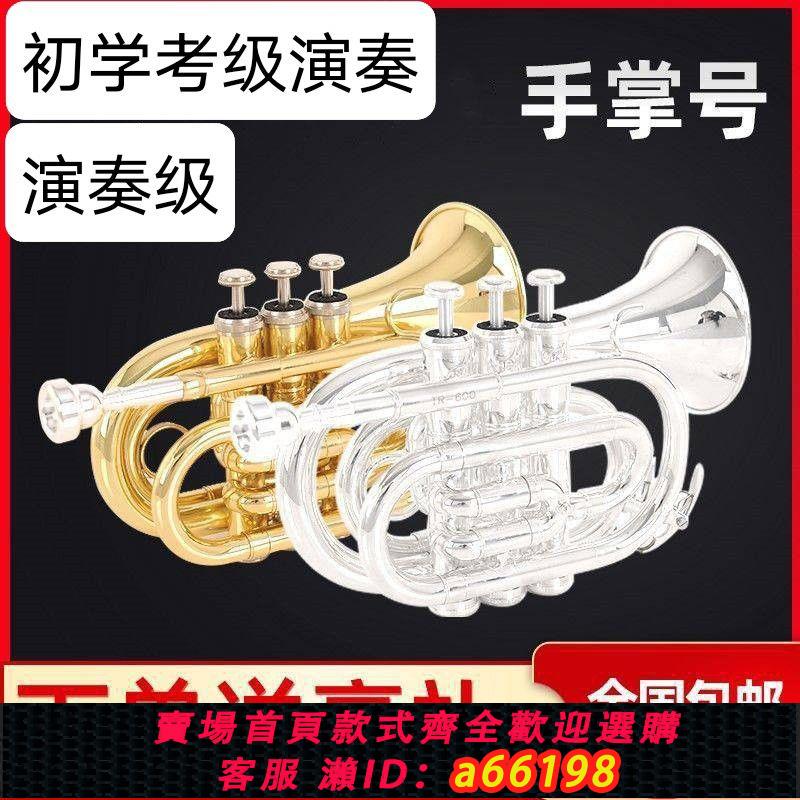 【臺灣公司 可開發票】正品手掌號樂器袖珍小號降B調金色學生初學考級成人樂隊演奏級