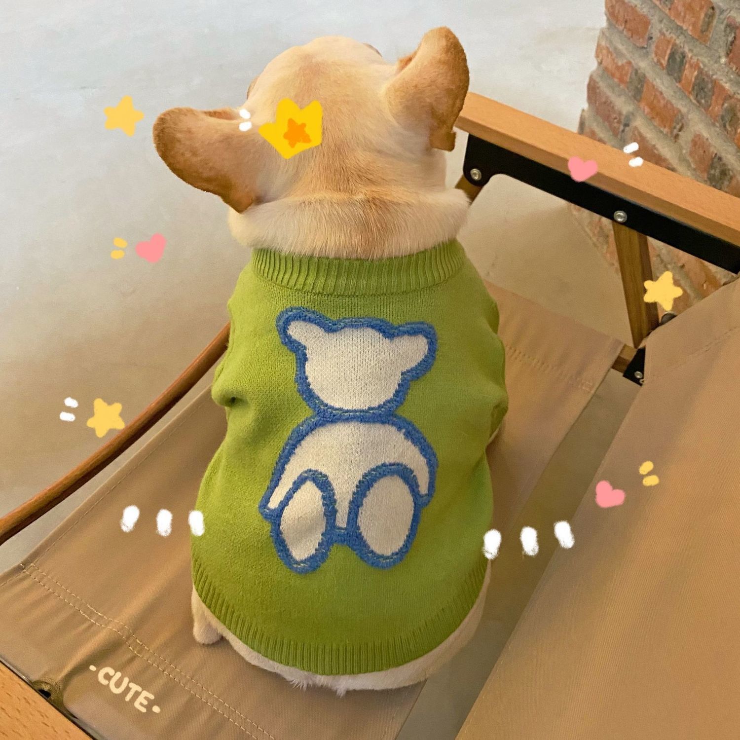 小型狗狗衣服 寵物冬季保暖衣服秋冬網紅狗狗衣服潮牌衛衣泰迪比熊雪納瑞巴哥鬥牛小型犬法鬥衣服【HZ72877】