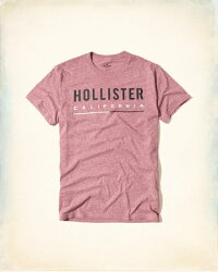 美國百分百【Hollister Co.】T恤 HCO 短袖 T-shirt 海鷗 logo 復古雪花紅 S號 H922